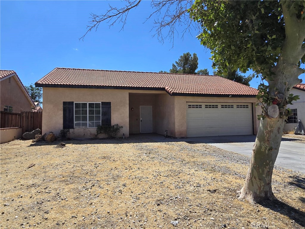 14572 Agave