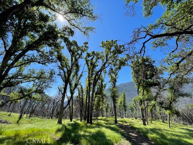 Detail Gallery Image 33 of 40 For 24 N. #35 Rd, Paskenta,  CA 96074 - 2 Beds | 1 Baths