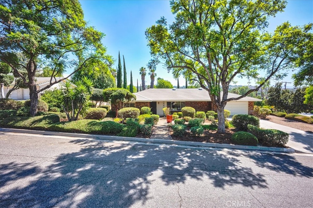 1290 Highridge Street
