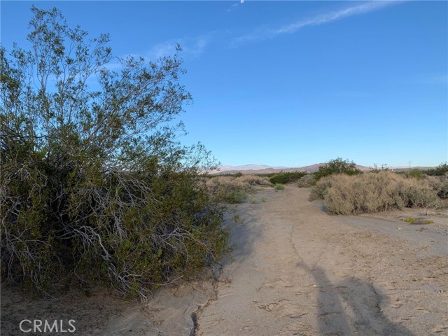 0 Pipeline Road, Joshua Tree, California 92252, ,Land,For Sale,0 Pipeline Road,CRDW23206723