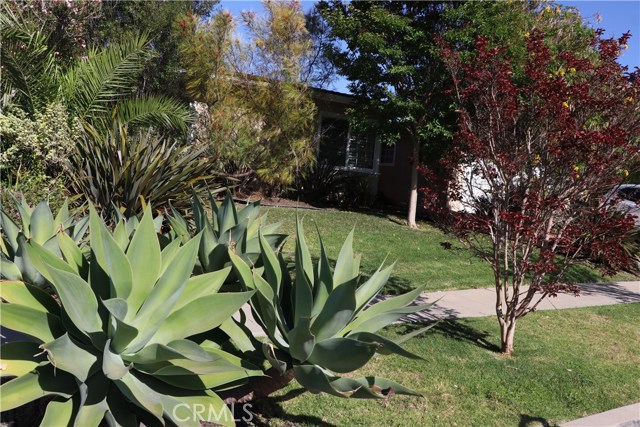 Photo of 1424 S Wycliff Avenue, San Pedro, CA 90732