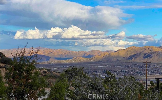 56564 Nelson Avenue, Yucca Valley CA: https://media.crmls.org/medias/de06fa84-c50e-47e4-94ee-3d975163b6c4.jpg