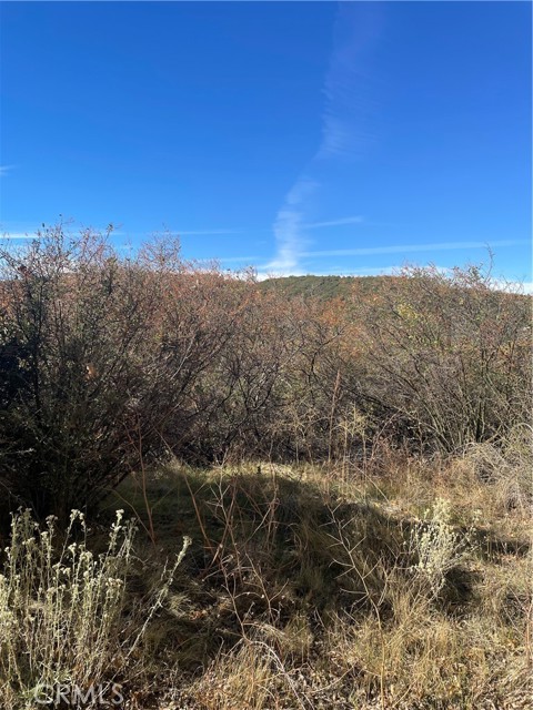 Front Image Thumbnail for CRIV25247158