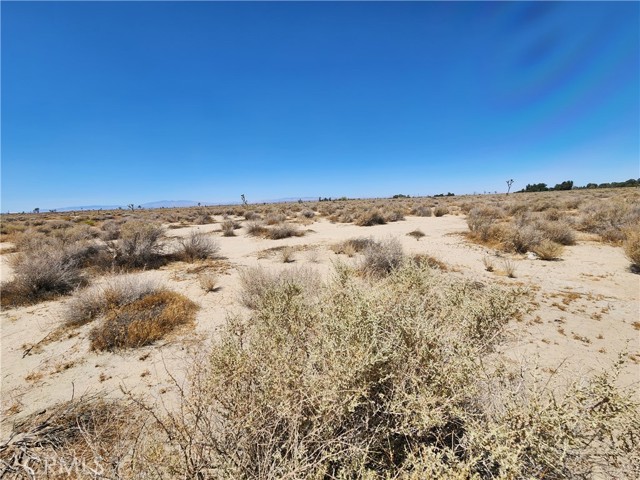 2 AC 122 E Street, Lancaster CA: https://media.crmls.org/medias/de0a76a2-12de-42ca-85c7-bd6f046d5772.jpg