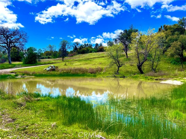 Image 62 of 70 For 29555 Wyle Ranch