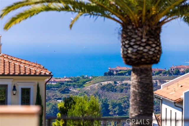 Detail Gallery Image 48 of 52 For 21 Coral Cay, Newport Coast,  CA 92657 - 5 Beds | 5/1 Baths