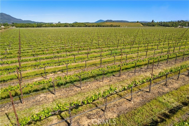 Detail Gallery Image 2 of 29 For 1650 Bell Hill Rd, Kelseyville,  CA 95451 - – Beds | – Baths