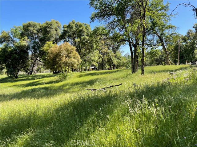 Detail Gallery Image 43 of 48 For 4960 Pegleg Rd, Mariposa,  CA 95338 - 2 Beds | 2 Baths