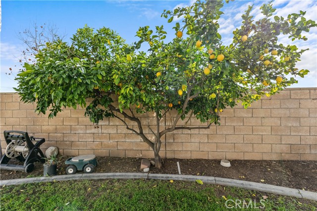 Detail Gallery Image 33 of 35 For 29385 Polo St, Highland,  CA 92346 - 4 Beds | 3 Baths