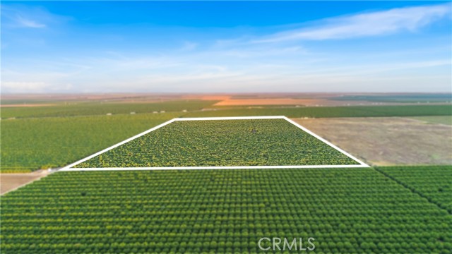 Detail Gallery Image 14 of 33 For 0 I5/Shields, Firebaugh,  CA 93622 - – Beds | – Baths