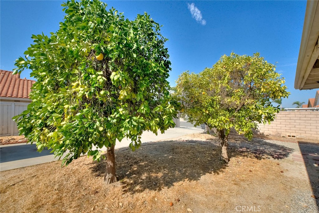 https://media.crmls.org/medias/de1d3c6c-d923-460c-8b39-9d03544dfa67.jpg?preset=X-Large