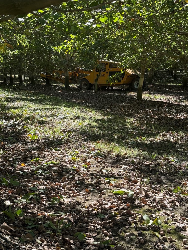 MLS #SN25233384 image #11