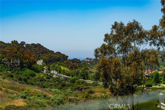48 Siena, Laguna Niguel CA: https://media.crmls.org/medias/de243ea3-ecb6-47c2-a5fc-ffb54c5ed9fb.jpg