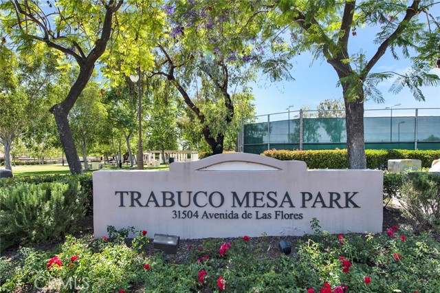 Down The Street To Trabuco Mesa Park