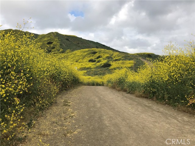 Image 68 of 74 For 28432 Avenida Placida