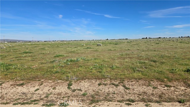 Detail Gallery Image 14 of 39 For 0 Avenue B-8 Vicinity 265th St W, –,  CA 93536 - – Beds | – Baths