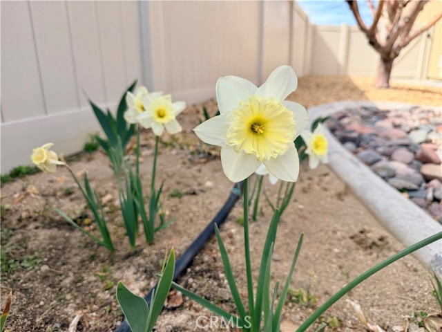 Detail Gallery Image 33 of 34 For 10906 Rockaway Glen, Apple Valley,  CA 92308 - 2 Beds | 2/1 Baths