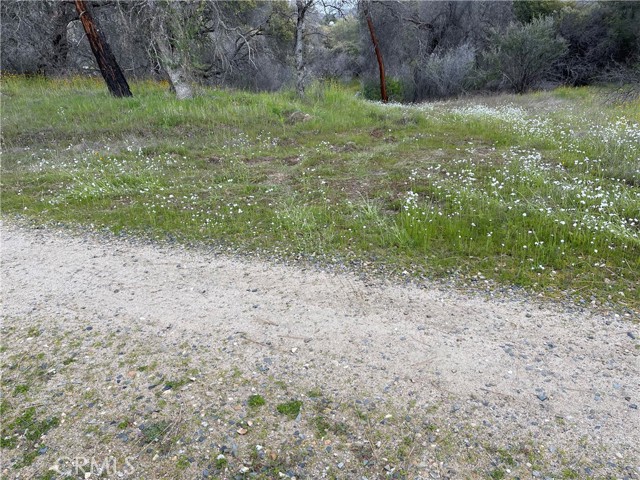 Detail Gallery Image 18 of 24 For 3786 Bronco Hollow Rd, Mariposa,  CA 95338 - – Beds | – Baths