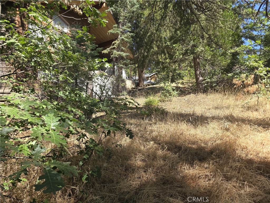 MLS #IV25164283 image #17