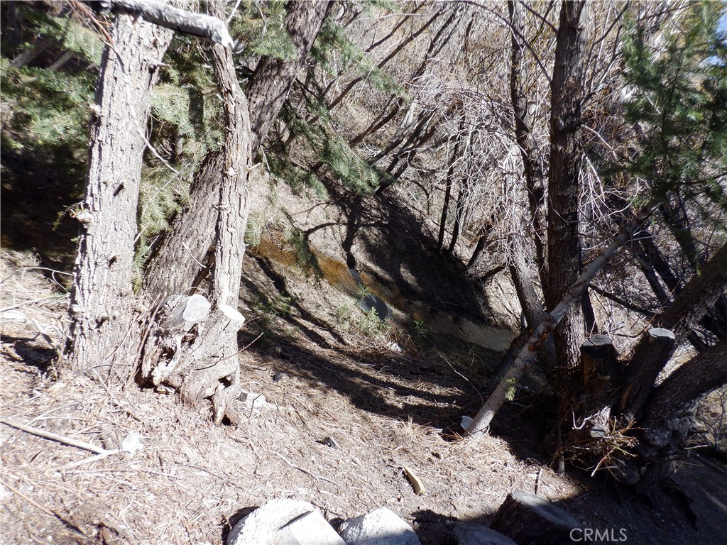 MLS #IV25083583 image #1