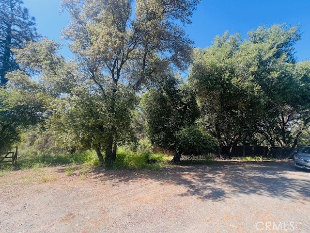 Detail Gallery Image 5 of 75 For 8697 Fraguero Rd, Sonora,  CA 95370 - 4 Beds | 2/1 Baths