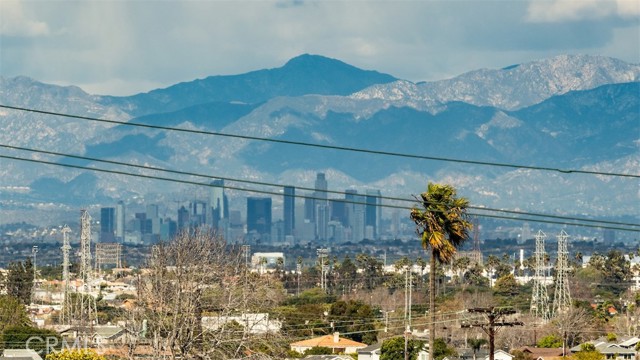 Downtown LA views from the rooftop.