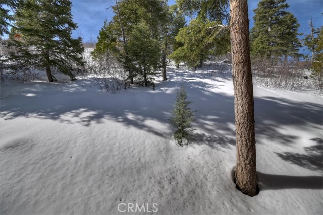 Detail Gallery Image 37 of 37 For 1370 Primrose Ct, Big Bear Lake,  CA 92315 - 2 Beds | 1/1 Baths
