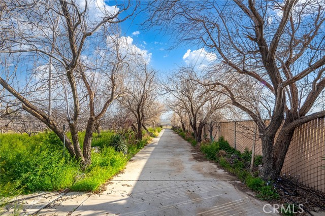 Image 3 of 73 For 31516 Clay River Road