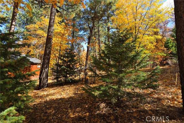 Detail Gallery Image 3 of 10 For 0 Ford Ln, Big Bear Lake,  CA 92315 - – Beds | – Baths