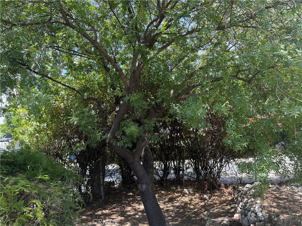 https://media.crmls.org/medias/de5a0de7-f69a-424e-90b1-456440ec75b6.jpg?preset=X-Large