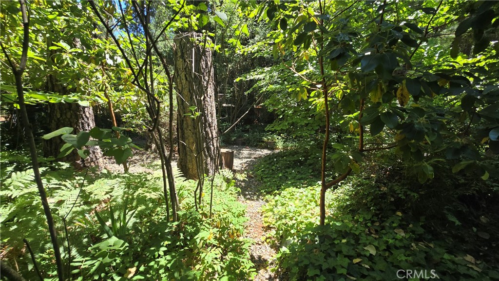 De5A7392 89B2 4577 B42D A0Fdfee834Bc 14568 Holmwood Drive, Magalia, Ca 95954 &Lt;Span Style='BackgroundColor:transparent;Padding:0Px;'&Gt; &Lt;Small&Gt; &Lt;I&Gt; &Lt;/I&Gt; &Lt;/Small&Gt;&Lt;/Span&Gt;