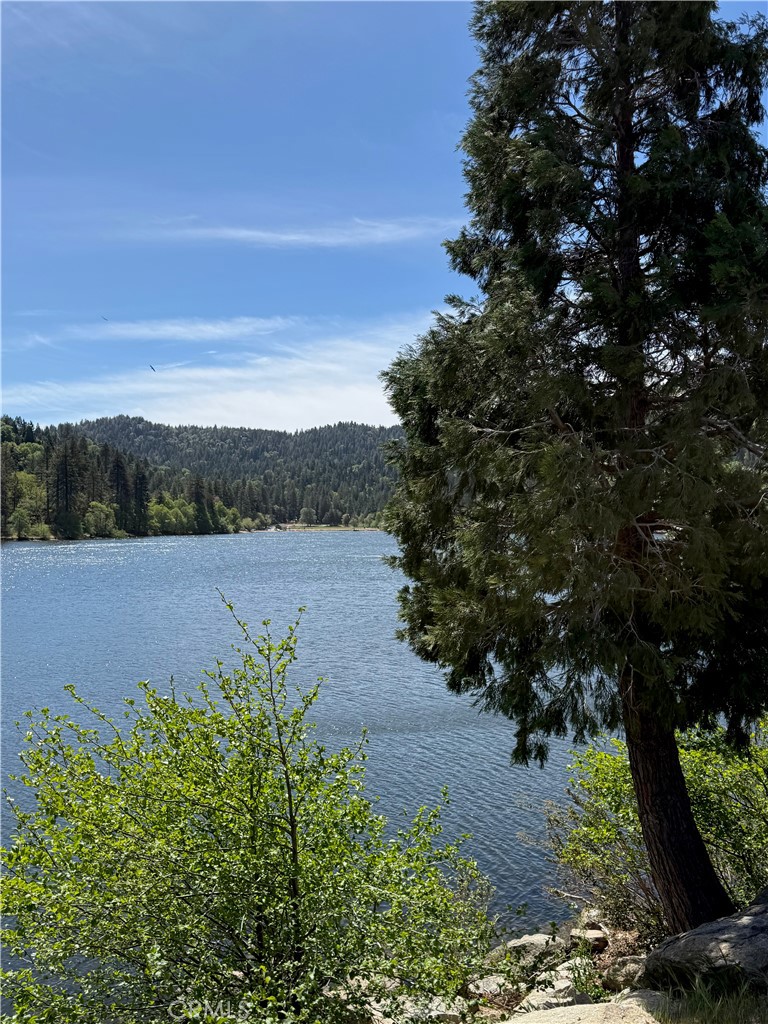https://media.crmls.org/medias/de5e68e1-6274-4092-bb71-d627a8e51120.jpg?preset=X-Large