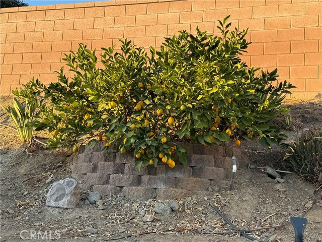 Detail Gallery Image 9 of 9 For 30168 Alfalfa Ln, Murrieta,  CA 92563 - 3 Beds | 2/1 Baths