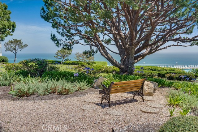 Sitting benches for contemplative meditation abound throughout the gardens of the Bay Club.