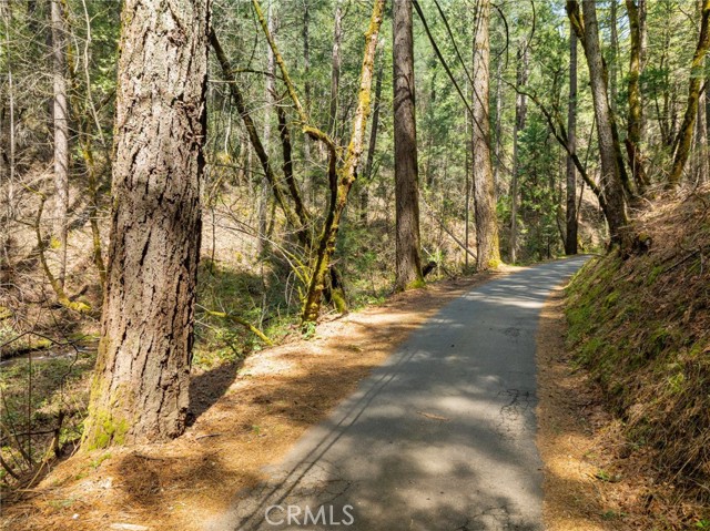 Detail Gallery Image 10 of 20 For 0 Clear Creek Rd, Placerville,  CA 95667 - – Beds | – Baths