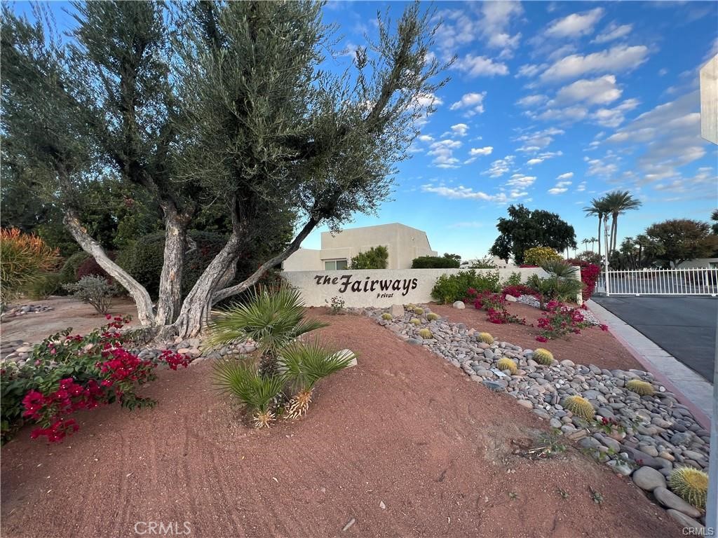 1553 Spyglass