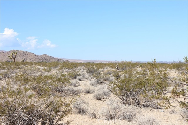 769 Meridian Road, Lucerne Valley CA: https://media.crmls.org/medias/de6f24f6-6170-4135-a7c2-c05338bfd212.jpg