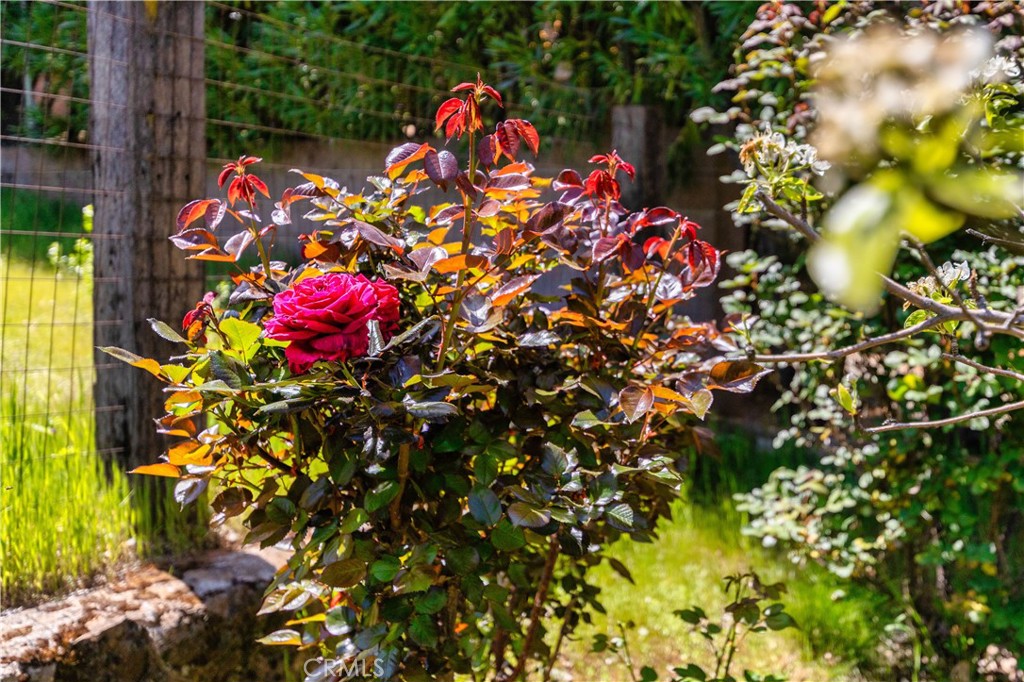 https://media.crmls.org/medias/de713238-2859-405d-a1a0-e700f17f93ab.jpg?preset=X-Large