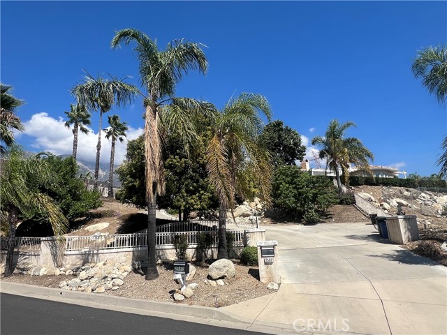 Front Image Thumbnail for CRIG25241891