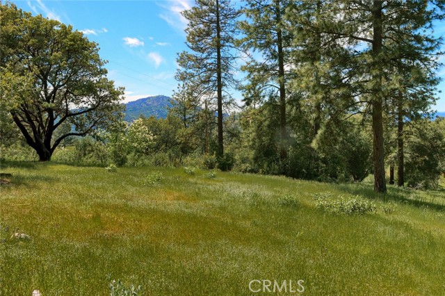 Detail Gallery Image 1 of 25 For 0 4.98 Ac Timberwood Ln, Oakhurst,  CA 93644 - – Beds | – Baths