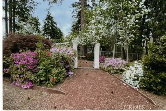 Detail Gallery Image 75 of 75 For 6090 Rossi Way, Paradise,  CA 95969 - 4 Beds | 3 Baths