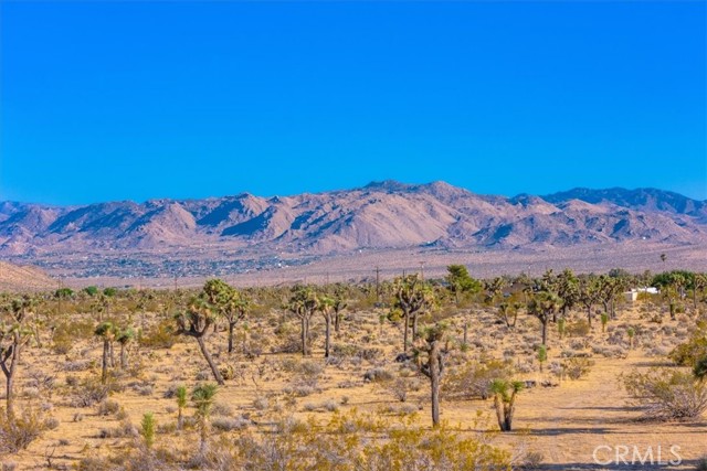 Detail Gallery Image 34 of 43 For 59099 Henderson Dr, Yucca Valley,  CA 92284 - 3 Beds | 2 Baths