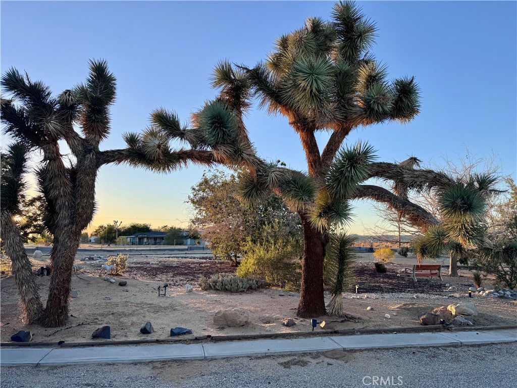 MLS #OC25244516 image #21