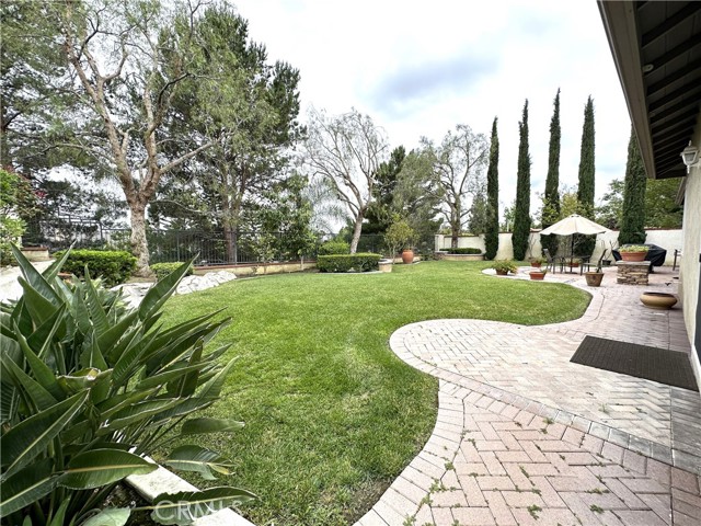 Large Back Yard