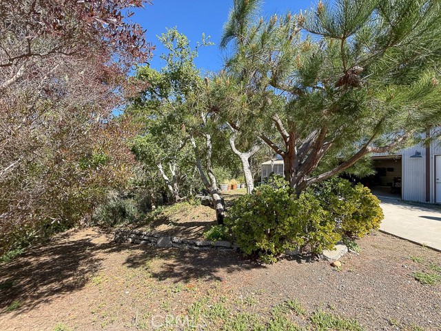 Detail Gallery Image 49 of 56 For 971 Hartford St, Cambria,  CA 93428 - 2 Beds | 2 Baths