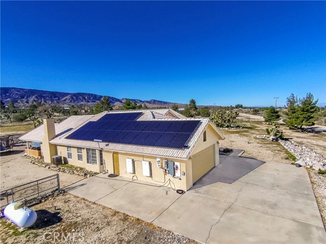 Image 2 of 54 For 1825 Smoke Tree