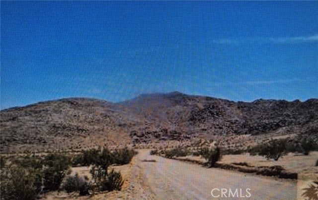 Joshua Tree, CA 92252