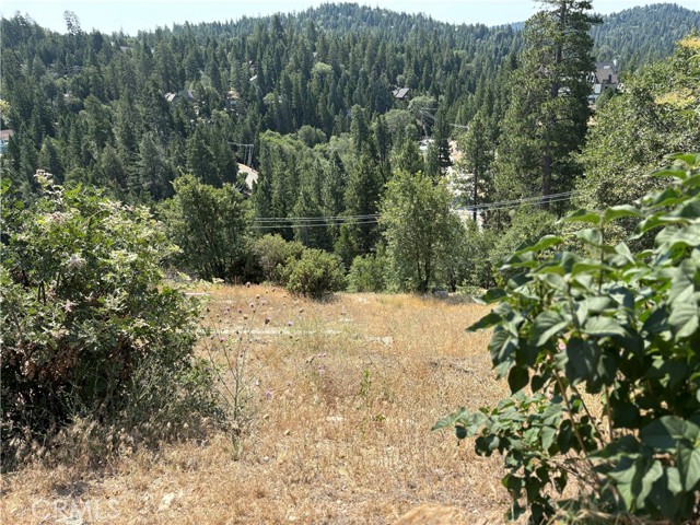 Detail Gallery Image 6 of 6 For 26801 Inyo Ln, Lake Arrowhead,  CA 92352 - – Beds | – Baths