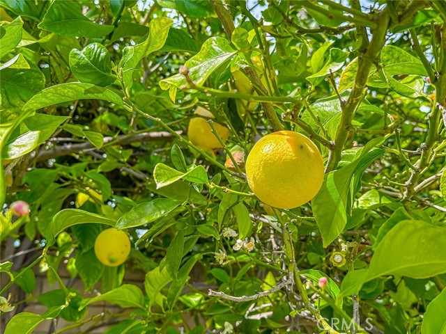 Detail Gallery Image 40 of 45 For 8371 Capistrano Ave, West Hills,  CA 91304 - 5 Beds | 3 Baths