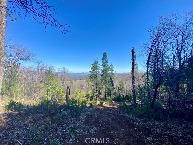 Detail Gallery Image 14 of 21 For 10130 Seigler Springs North, Kelseyville,  CA 95451 - – Beds | – Baths